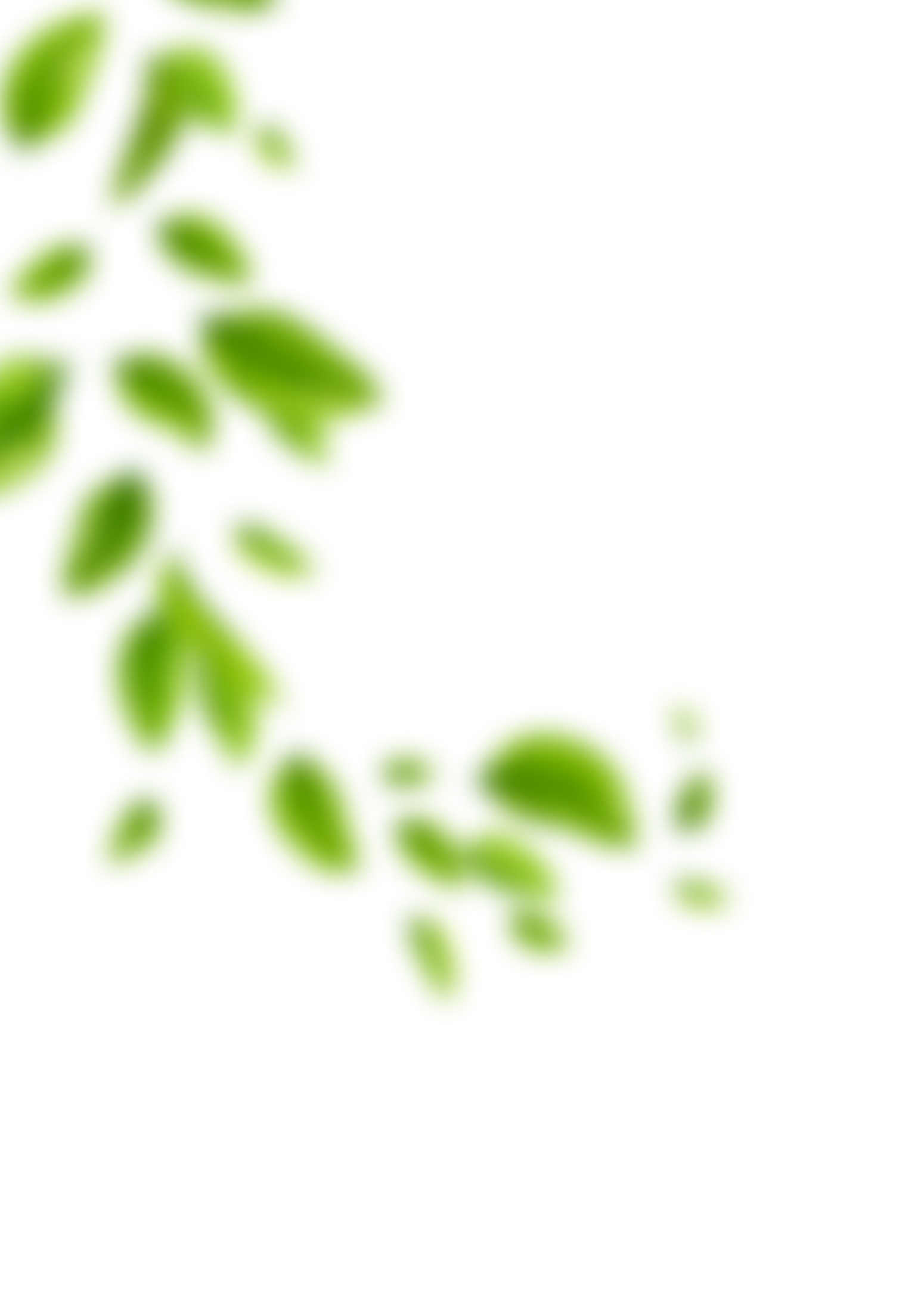 Leftsideleaf