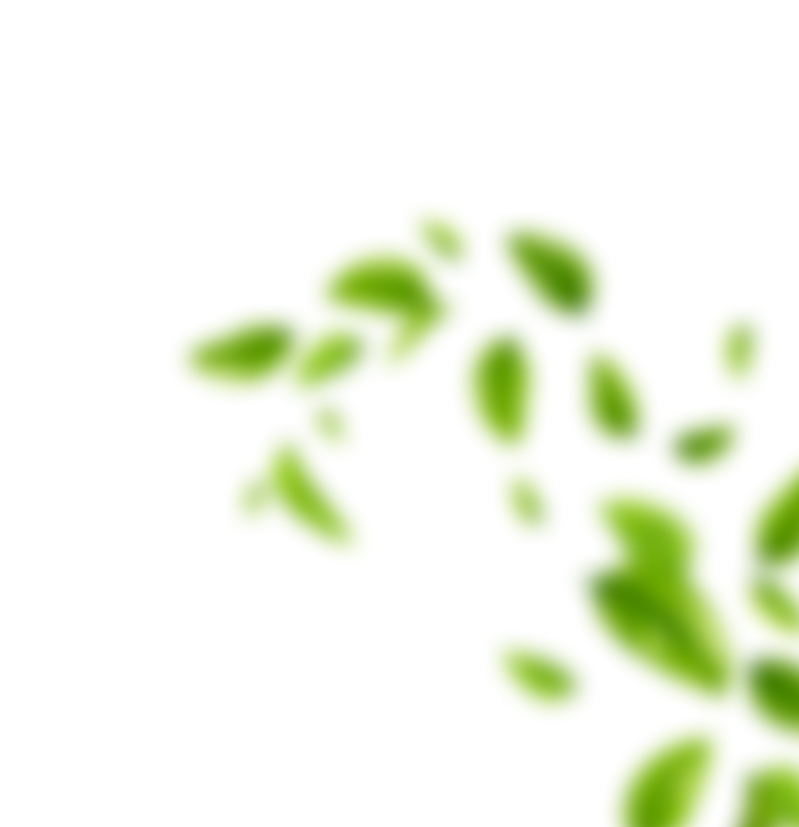 Rightsideleaf